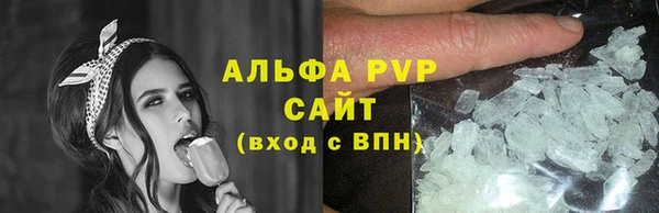 хмурый Абаза