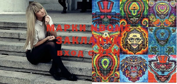 хмурый Абаза