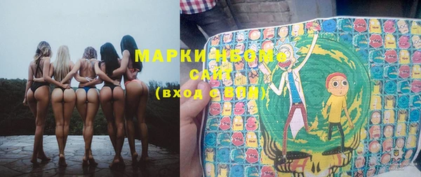 хмурый Абаза
