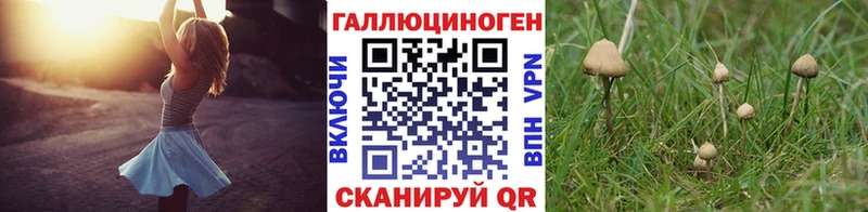 купить закладку  Весьегонск  KRAKEN маркетплейс  Псилоцибиновые грибы MAGIC MUSHROOMS 